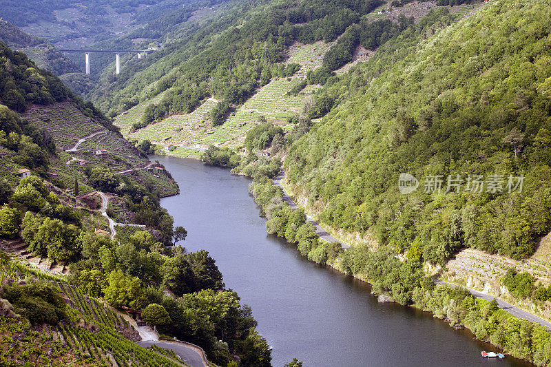 Ribeira sacra葡萄园和森林河Miño，加利西亚，西班牙。